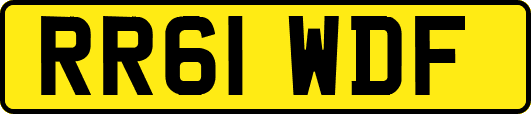 RR61WDF