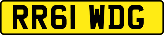 RR61WDG