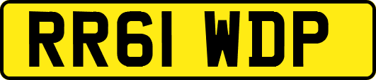 RR61WDP