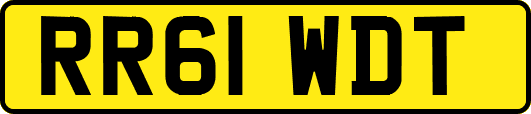 RR61WDT