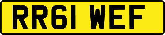 RR61WEF
