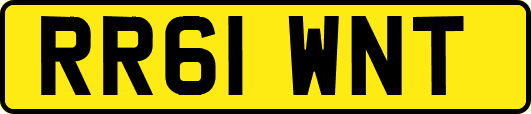 RR61WNT