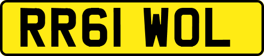 RR61WOL