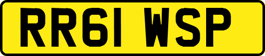 RR61WSP