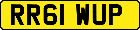 RR61WUP