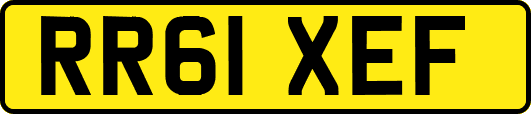 RR61XEF