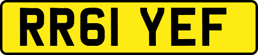 RR61YEF