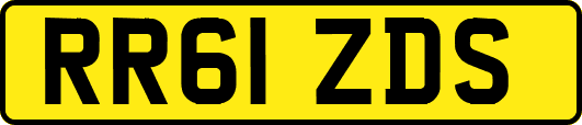 RR61ZDS
