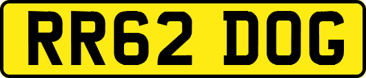 RR62DOG