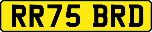 RR75BRD