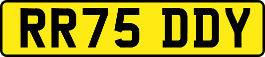 RR75DDY