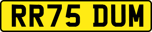 RR75DUM
