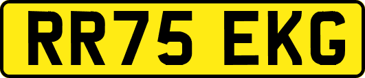 RR75EKG