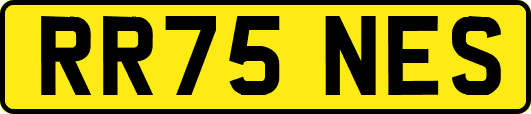 RR75NES