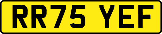 RR75YEF