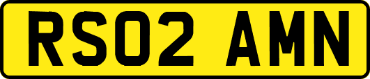 RS02AMN