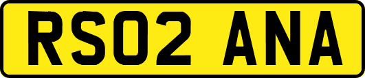 RS02ANA