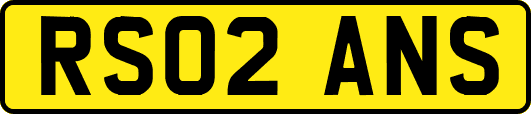 RS02ANS
