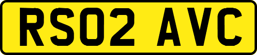 RS02AVC
