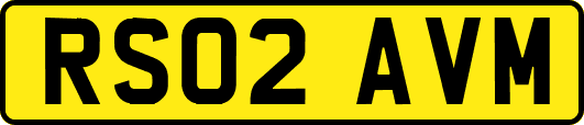 RS02AVM