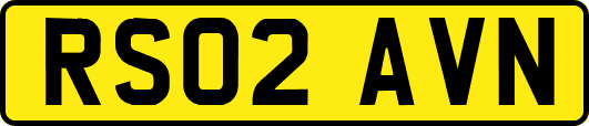 RS02AVN