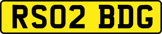RS02BDG