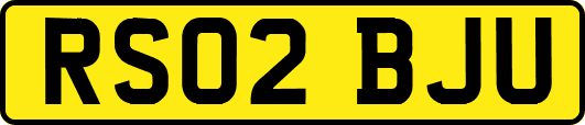 RS02BJU