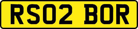 RS02BOR