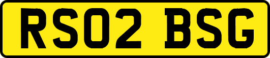 RS02BSG