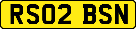 RS02BSN