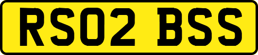 RS02BSS