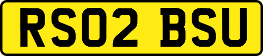 RS02BSU