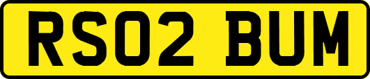 RS02BUM