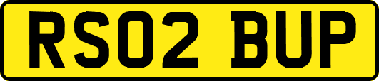 RS02BUP