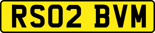 RS02BVM