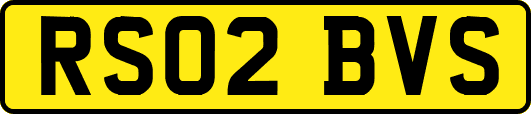 RS02BVS