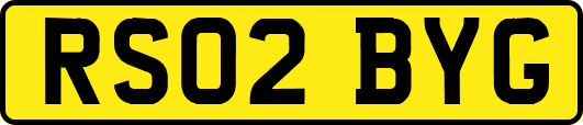 RS02BYG
