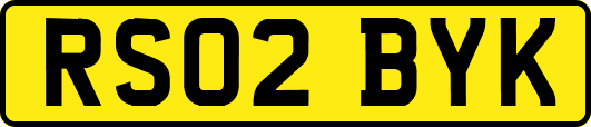RS02BYK