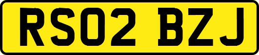 RS02BZJ