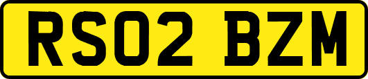 RS02BZM