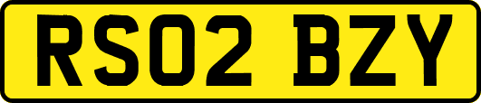 RS02BZY