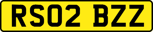 RS02BZZ