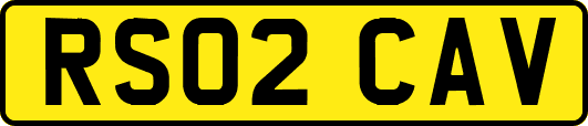 RS02CAV