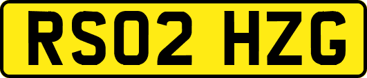 RS02HZG