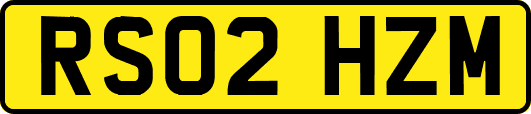 RS02HZM