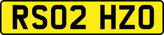RS02HZO