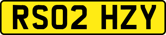 RS02HZY