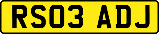 RS03ADJ