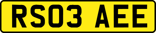 RS03AEE