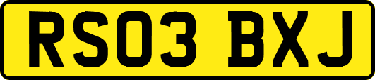 RS03BXJ